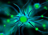 Refill nerve bar.jpg